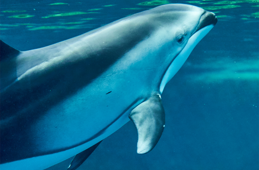 物件ごとに得意な■種別名を選択・登録