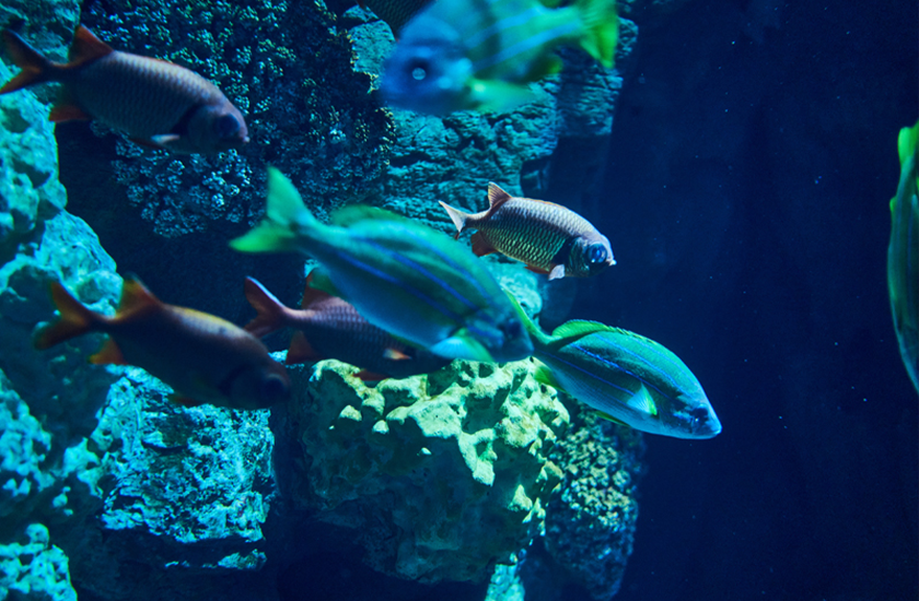 物件探しにおけるご利用者ニーズに沿った情報を掲載可能