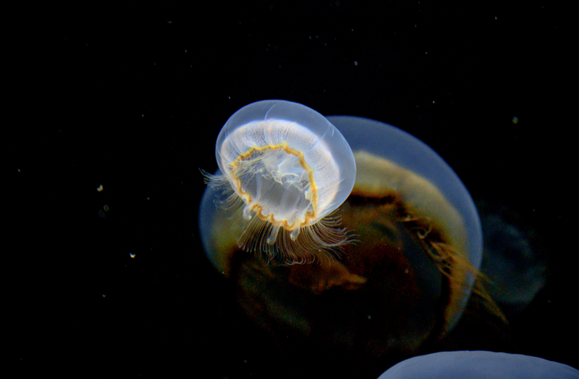 物件とご利用者の信頼関係が生まれやすい仕組み