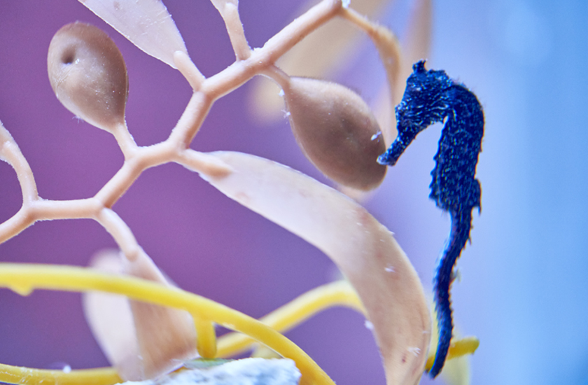 実際に利用したご利用者のみが投稿できる口コミシステム